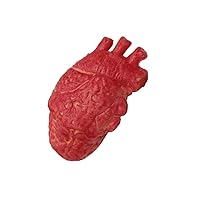 Prop Simulated Heart Prop Halloween Bloody Prop Simulated Body Parts Scary Organ for Haunted House Decorations Halloween Prop