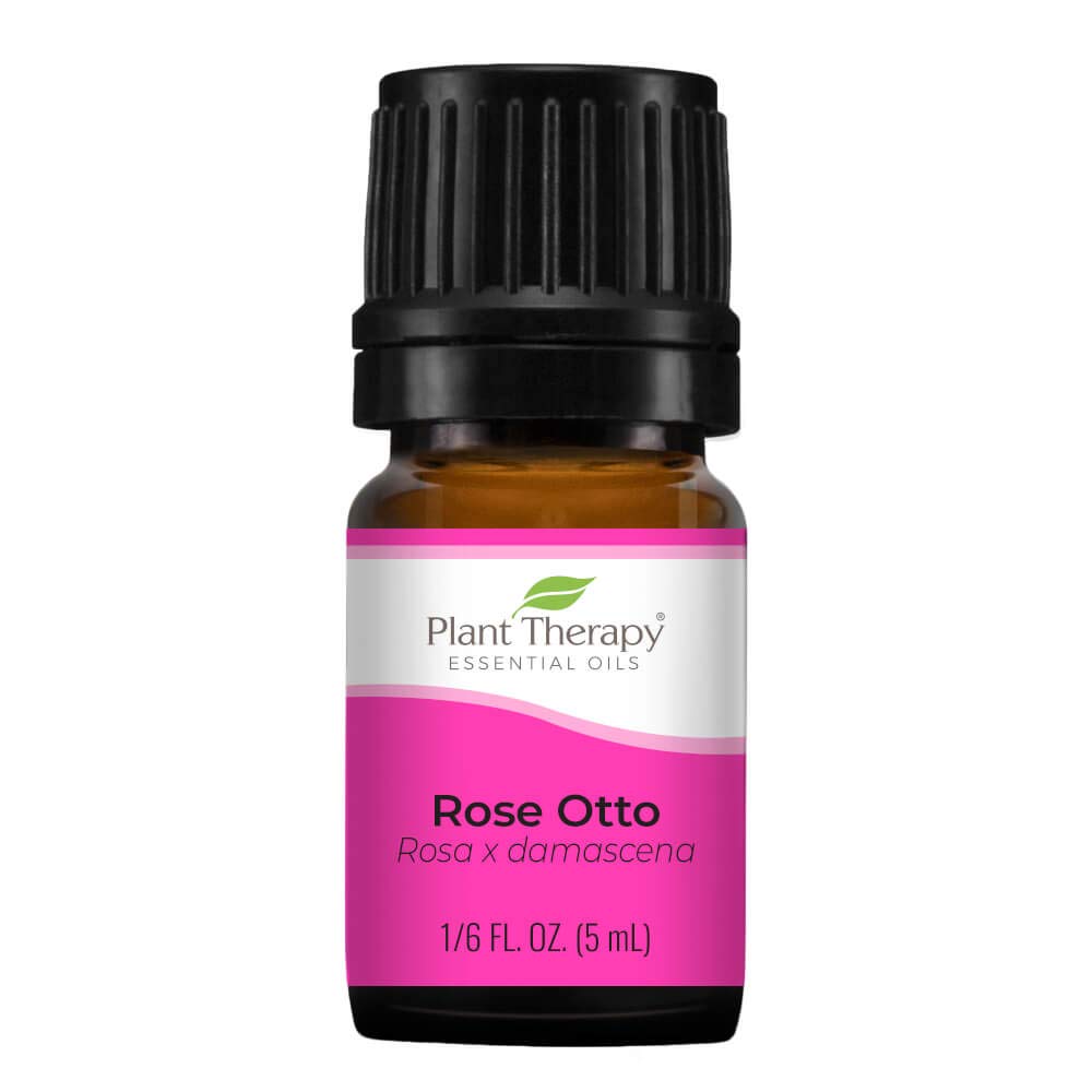 Plant Therapy Rose Otto Essential Oil 5 mL (1/6 oz) 100% Pure, Undiluted, Therapeutic Grade
