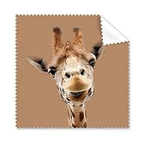 Giraffe Camera Observation Action Cleaning Cloth Phone Screen Glasses Cleaner 5pcs