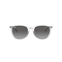 Ray-Ban Rb4171 Erika Round Sunglasses