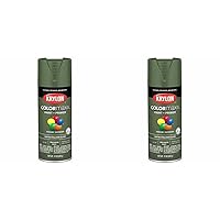 Krylon K05566007 COLORmaxx Spray Paint and Primer for Indoor/Outdoor Use, Satin Italian Olive Green 12 Ounce (Pack of 2)