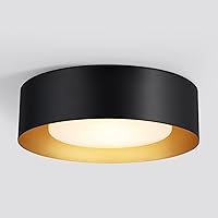 Vikaey Modern Flush Mount Ceiling Light, 2-Light Black and Gold Round Close to Ceiling Light Fixture, Minimalist Drum Ceiling Lamp with Glass Lampshade for Bedroom, Hallway, Kitchen, 12.5in
