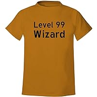 Level 99 Wizard - Men's Soft & Comfortable T-Shirt