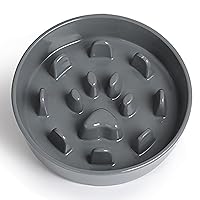 Slow Feeder Dog Bowls, Ceramic Fun Slow Eater Bowl for Small Medium Breed (Grey)