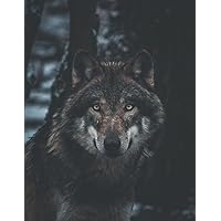 Wolf Notebook: 8.5 X 11 Ruled Journal, Lined Diary For Writing, Brown Wolf Portrait In The Forest Photography Cover - A Useful Gift For Someone Who Loves Wolves