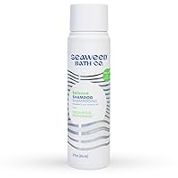 Seaweed Bath Co. Balance Shampoo, Eucalyptus Peppermint Scent, 12 Ounce, Sustainably Harvested Seaweed, Pro Vitamin B5, For Normal to Oily Hair