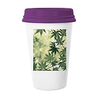 Maple Leaf Plant Picture Nature Coffee Mug Glass Pottery Ceramic Cup Lid Gift