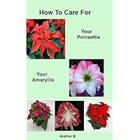 How To Care For Your Poinsettia Your Amaryllis
