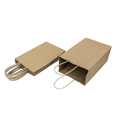 10 Pack 5.25x3.25x8.25 Inch Small Plain Natural Paper Gift Bags with  Handles Bulk, Kraft Bags for Birthday Party Favors Grocery Retail Shopping  Business Goody Craft Bags Cub (Brown 10 Count)(NO.545) 