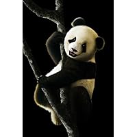 Laminated Juvenile Giant Panda Artwork Animal Kids Room Baby Nursery Asia Bear Poster Bear Picture of a Bear Posters for Wall Bear Print Wall Art Bear Pictures Wall Decor Large Dry Erase Sign 36x54