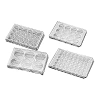BD 353934 Falcon Clear Polystyrene Sterile 6 Well Tissue Culture Multiwell Plate with Low Evaporation Lid, 15.5mL Volume, Flat Bottom Shape (Case of 60)