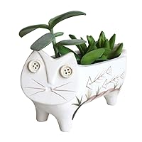 ChezMax Cat Ceramic Cactus Planter Pot Succulent Plant Pot Flowerpot Container Indoor Outdoor Decorative