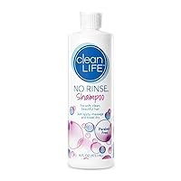No-Rinse Shampoo, 16 fl oz - Leaves Hair Fresh, Clean and Odor-Free, Rinse-Free Formula