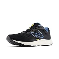 New Balance Men's 520 V8 Running Shoe
