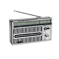Outdoor Walkman Vintage Portable Speaker Player Silver Compact Large Capacity Radio