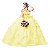 Tulle Quincenera Dresses Spaghetti Straps Ball Gown Lace Butterfly Appliques Puffy Sweet 16 Dresses