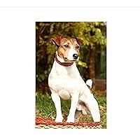 Animal Jack Russell Terrier Dog Jigsaw Puzzle 1000 Piece for Adults Families Classic Jigsaw Fine Motif Photo Puzzle Art