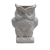 Two's Company Owl Large Pitcher