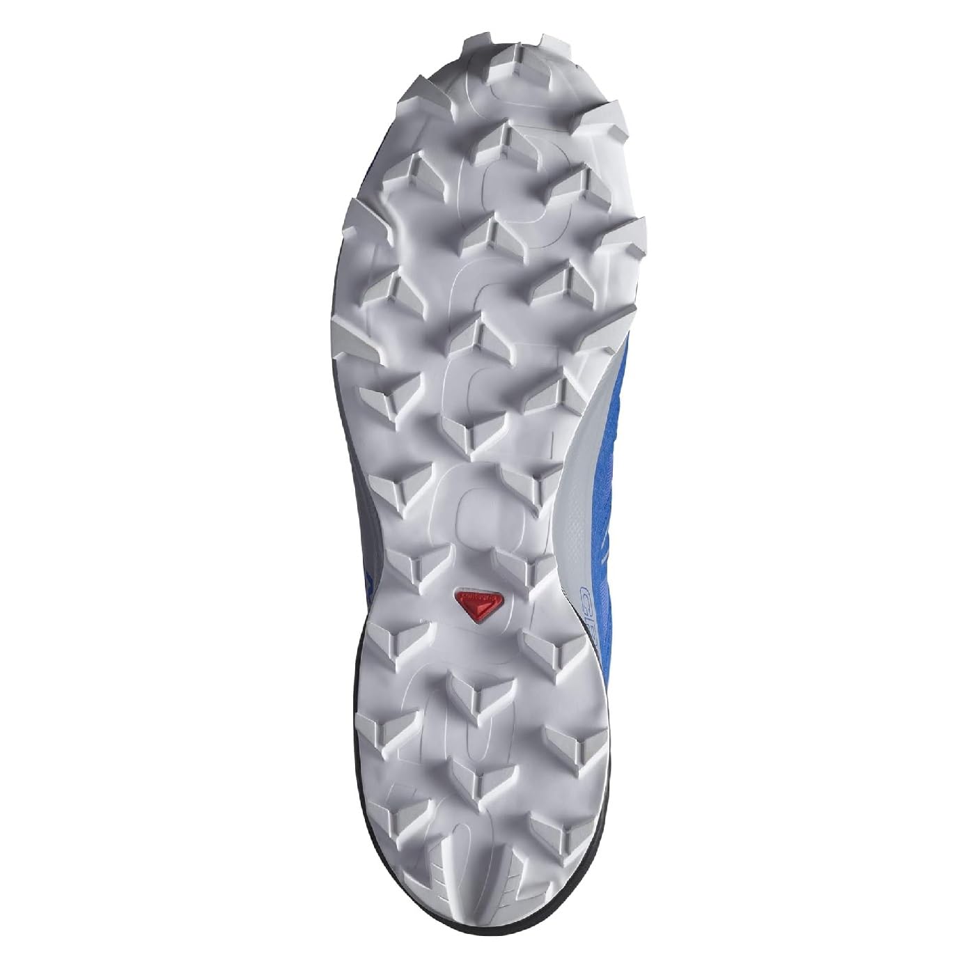 Salomon Men's Speedcross Hiking Shoe