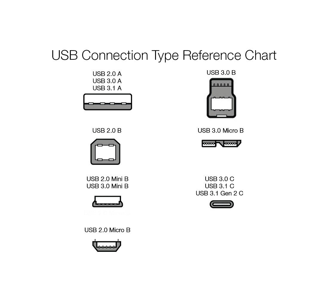 Amazon Basics USB Type-C to USB 3.1 Gen1 Female Adapter - White, Pack of 1