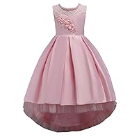 WEONEDREAM Princess Girls Dress for Wedding Birthday Party with Train Size 3-14 Years