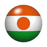 30 Pcs Stickers Niger Decals Gift Tags The Flag of Niger Stickers Christmas Decals Stickers for Water Bottles Laptop Envelope Seals Goodie Bags 1.5 Inches
