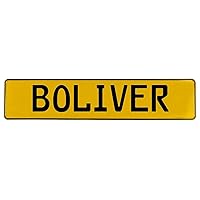 605094 Wall Art (Yellow Stamped Aluminum Street Sign Mancave Boliver)