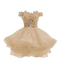 Off The Shoulder Lace Appliques Homecoming Dresses for Juniors Women Short Prom Party Gowns