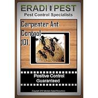 Carpenter Ant Pest Control 101