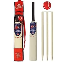 Junior Cricket Bat Set Wooden Gift Size 4, 6 Includes Stumps Ball Bat Carrying Bag