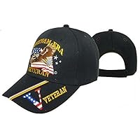 AES Vietnam Era Veteran Military Hat Baseball Cap (You are Appreciated) Multi