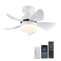 Small Ceiling Fan with Light 30