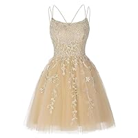 Homecoming Dresses Short Lace Prom Dress Tulle Graduation Dress Short Homecoming Dresses for Teens