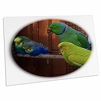 3dRose Edmond Hogge Jr Birds - Ringed Neck Parrots and Parakeets - Desk Pad Place Mats (dpd-44562-1)