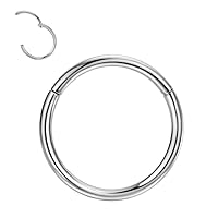 FANSING G23 Titanium Hinged Piercing Rings Hoop