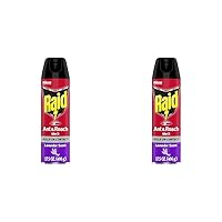 Raid Ant & Roach Killer Spray for Listed Bugs, Keeps Killing for Weeks, Lavender Scent, 17.5 oz (Pack of 2)