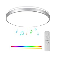 HOREVO Bathroom Ceiling Light with Remote Control with Bluetooth Speaker, 24W Diammble Color Changing, LED Flush Mount Shower Light Fixture for Living Room, Bedroom, Kitchen Silver