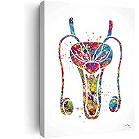 Poster Canvas Art,Reproductive System Male Watercolor Print Human Organs Urology Penis Fertility Clinic Decor Urology Medical Art Nurse Doctor Art- 12 in x16 in-Ready to hang