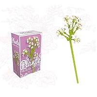 Flower Bouquet Building Blocks Kits Gypsophila White JK26211, Artificial Flowers Building Project to Release Stress and Focus The Mind, for Birthday Gifts to Adults/Teens(50-100+ Pieces)