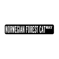 Norwegian Forest Cat Classroom Home Decorations Lettering Wall Stickers Wild Animal Lover Playing Hunter Self-Adhesive Home Decals for Cafe Hotel Nursery Party Cups Vinyl 28in