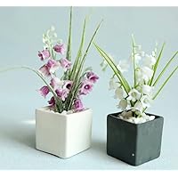 AirAds Dollhouse 1:6 Scale Dollhouse Miniatures Flower Pot Green Plant (Purple Flowers Pot)