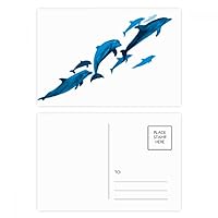 Dolphin Big Small Postcard Set Birthday Mailing Thanks Greeting Card