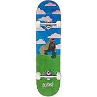 [CCS] Skateboard Complete - Maple Wood - Professional Grade - Fully Assembled with Skate Tool and Stickers - Adults, Kids, Teens, Youth - Boys and Girls