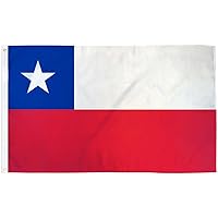 B&Y 2x3 Chile Flag Chilean Country Banner South America Pennant Bandera 24x36 inch