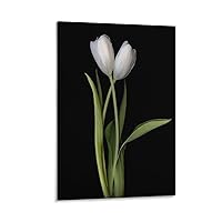 Flowers Plants Black Background Photography Art Decoration - White Tulips Picture Decoration Poster Canvas Painting Posters And Prints Wall Art Pictures for Living Room Bedroom Decor 20x30inch(50x75c