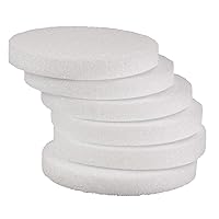 Hygloss Products Foam Discs - Craft Foam Flat Circles (XPS) for Projects, Floral Arrangements, Arts, & Crafts, Cake Dummies, 8