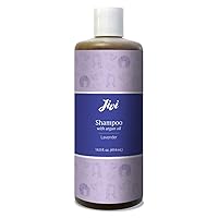 Shampoo With Argan Oil (Lavender) | Daily Use Shampoo for Healthier Hair | 100% Natural with Organic Ingredients | Made for All Hair Types, Color Safe | 14 fl. oz