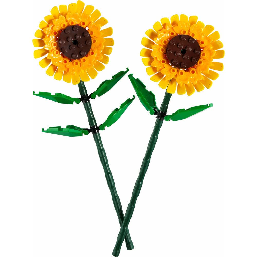 Sunflower 40524