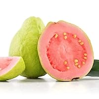 Guava Fruit Extract Powder 50 Grams