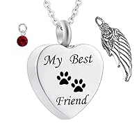 Unisex My Best Friend -Dog Paw Necklace Heart Cremation Necklace for Ashes 12 Birthstone Pendant Memorial Keepsake Jewelry